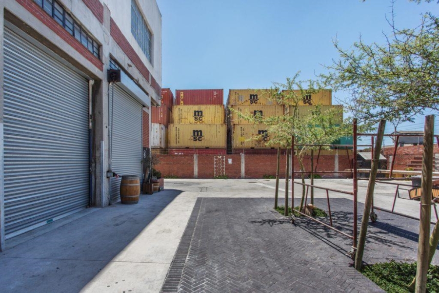 To Let commercial Property for Rent in Salt River Western Cape